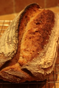 White and kamut sourdough loaf with a big 'grin'