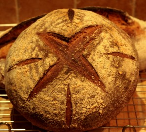 White and kamut sourdough loaf: round with star scoring