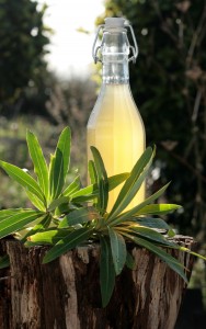 Ethiopian honey wine, T'ej in a bottle