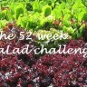 52 Week Salad Challenge - January pickings