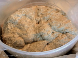 Amaretto sourdough after adding salt