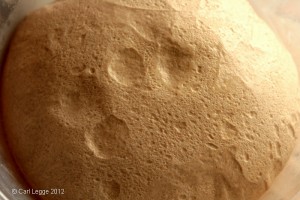 Amaretto sourdough after retarding in fridge Amaretto sourdough after retarding in fridge