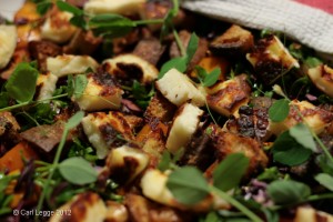 Panzannella - winter bread salad close up