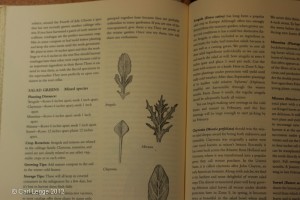 Four Season Harvest: plant guide
