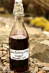 Blues and bays made into vinegar using kombucha