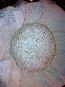 Dough after bulk prove