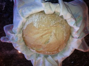 Dough after bulk prove