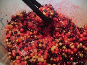 Mixed currants being mashed