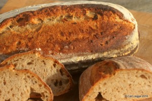 Sourdough pain de campagne crumb shot