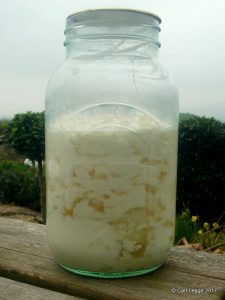 Kefir milk drink